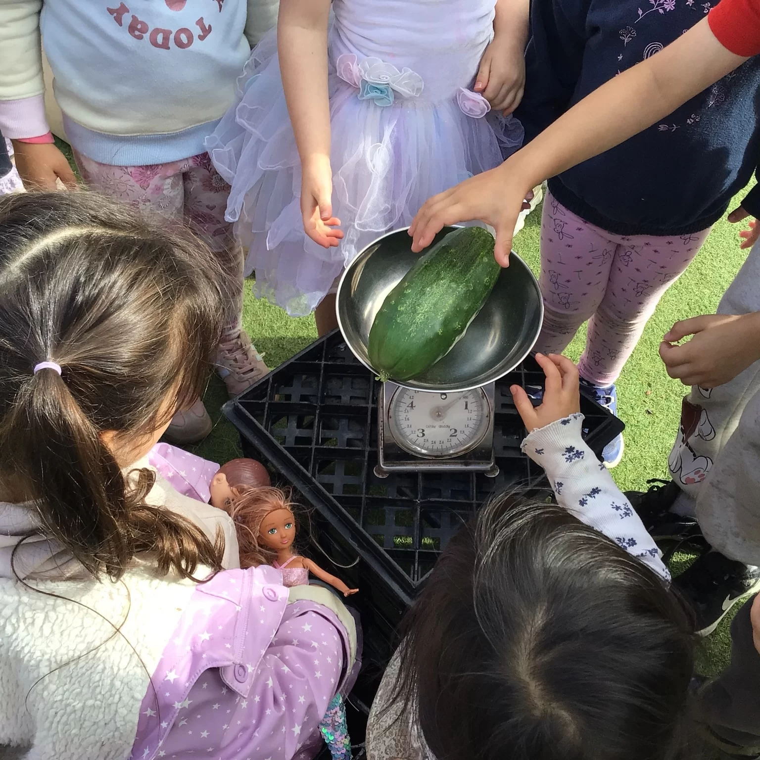 Children weighing fresh vegetables