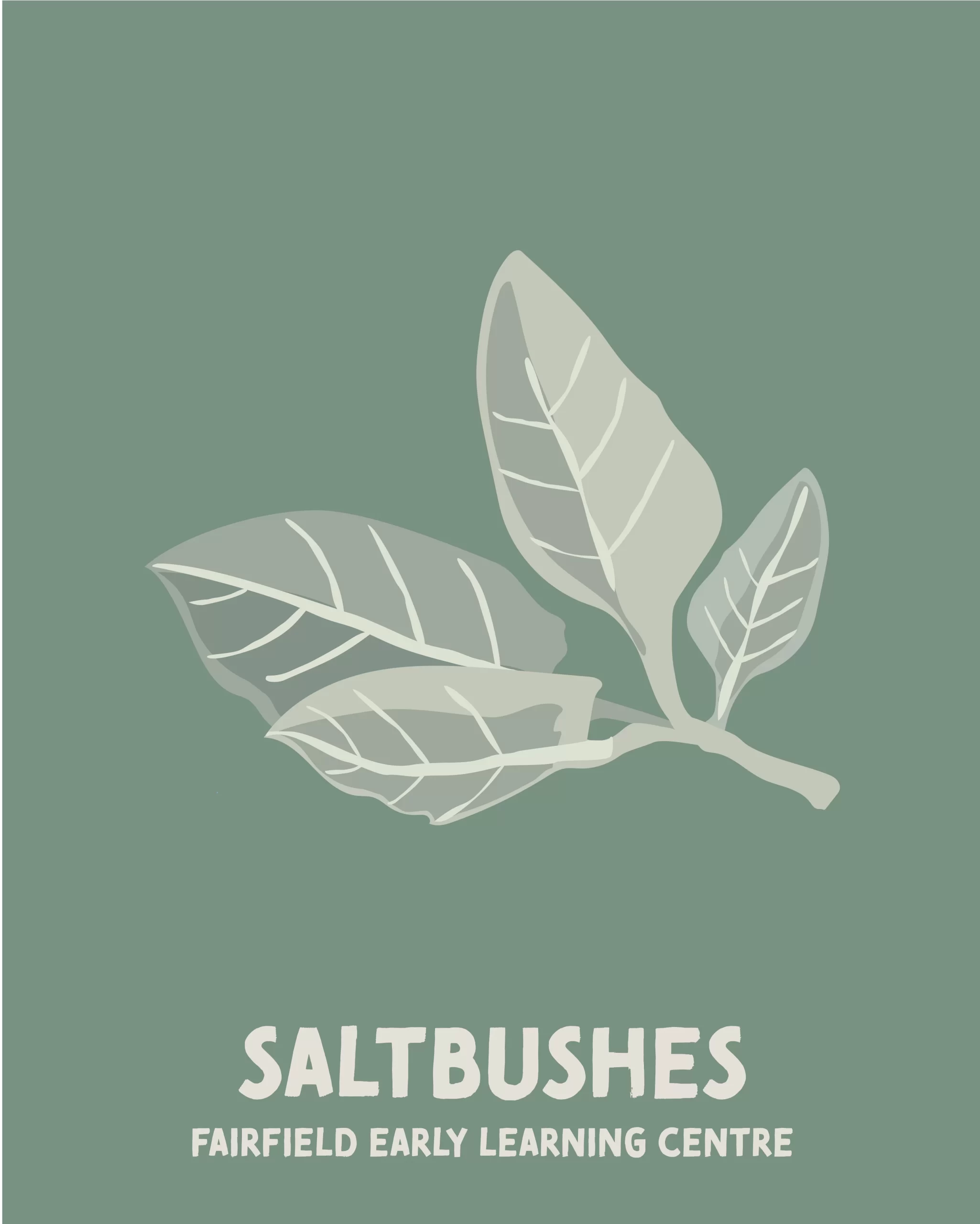 Saltbushes toddler room